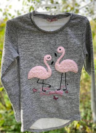 Трикотажний реглана для дівчаток, seagull, 14(152 р) років