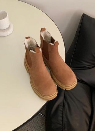 Угги челси от ugg2 фото