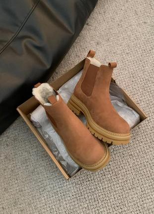 Угги челси от ugg6 фото