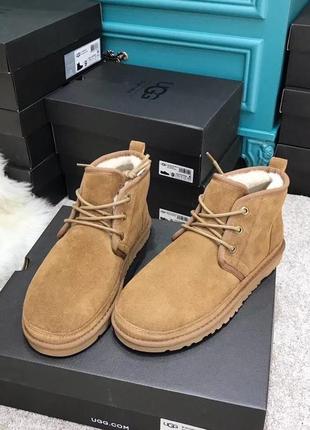 Мужские угги сапоги ugg2 фото