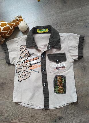 Стильна сорочка футболка з коротким рукавом на 2-3 роки, р. 92-98