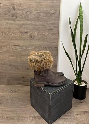 Чоботи ugg оригінал