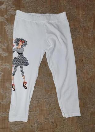 Лосіни літні