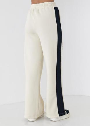 Теплые трикотажные штаны с лампасами и надписью renes saince - кремовый цвет, l (есть размеры)2 фото