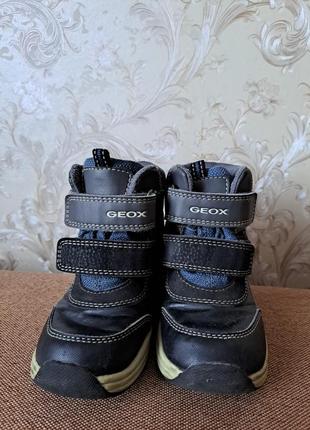 Зимние ботинки geox2 фото
