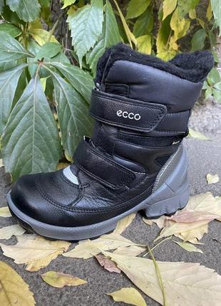 Зимние ботинки ecco biom gore-tex 28 р