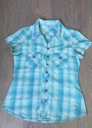 Блузка moda international/ рубашка в клетку с воротником на пуговицах / хлопок s-м6 фото