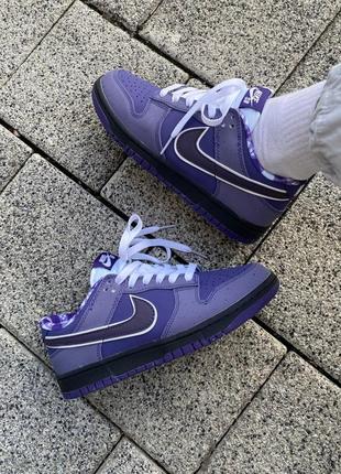 Nike sb dunk purple