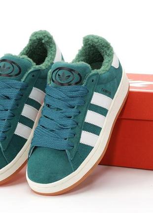 Кросівки adidas campus winter