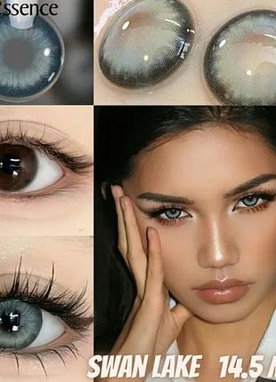 Кольорові контактні лінзи swan lake без діоптрій + контейнер