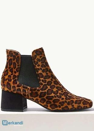 Стильные челси m&s