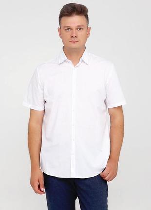 Рубашка xl 43/44 c&a regular fit