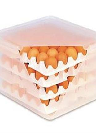 Емкість для зберігання яєць з кришкою 354х325х200 мм з поліпропілену (gn 2/3) 00378 araven "gr"1 фото