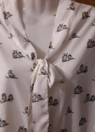 Красивая i блуза  с совушками  очень  милый рисунок стильный фасон от yumi3 фото