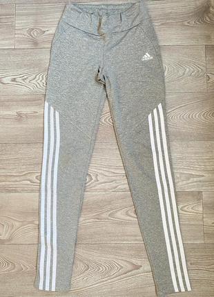 Леггинсы Rita adidas