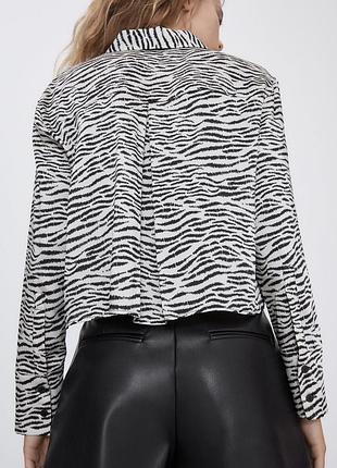 Рубашка зебра от zara3 фото
