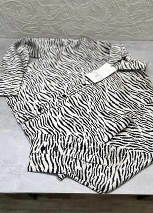 Рубашка зебра от zara8 фото