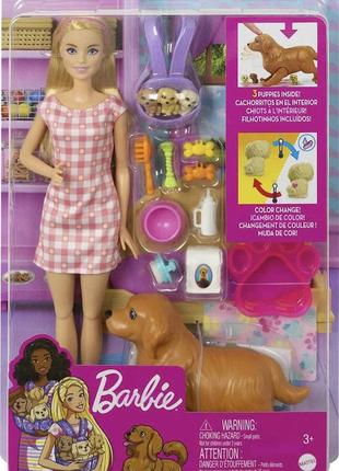 Кукла барби с собакой и новорожденными щенками barbie newborn pups playset with blonde doll1 фото