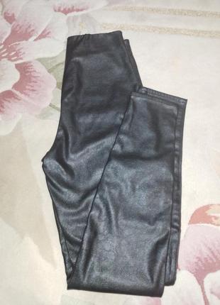 Брюки лосины кожуни