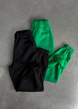 Базові спортивні штани джогери теплі на флісі. спортивные штаны джоггеры теплые на флисе 42-4810 фото