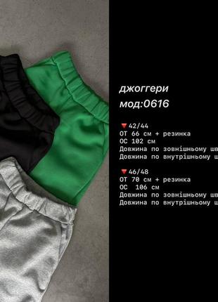 Базові спортивні штани джогери теплі на флісі. спортивные штаны джоггеры теплые на флисе 42-482 фото