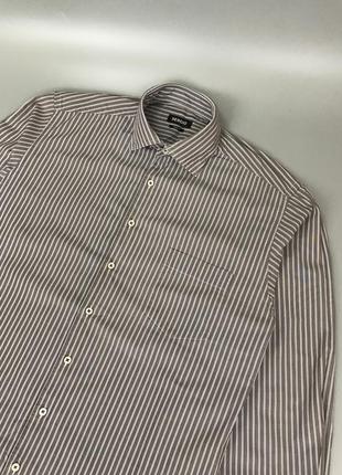 Стильная кофейная рубашка sergio в полоску, полоску, классическая, мягкая, овершот, серджио, светло коричневая, мокко2 фото
