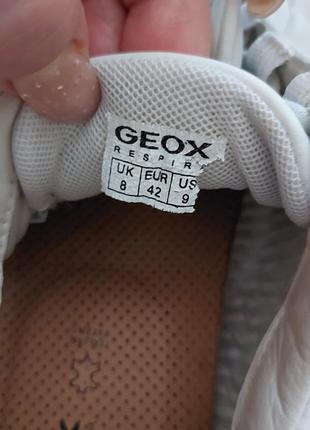 Брендовые кроссы ,натуральная кожа от geox7 фото