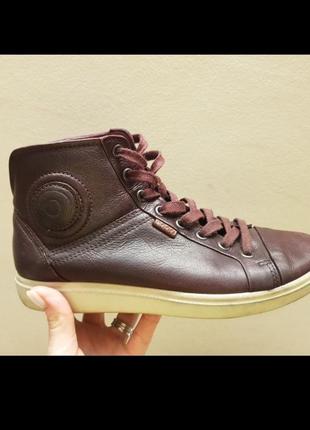 Кожаные кеды ecco