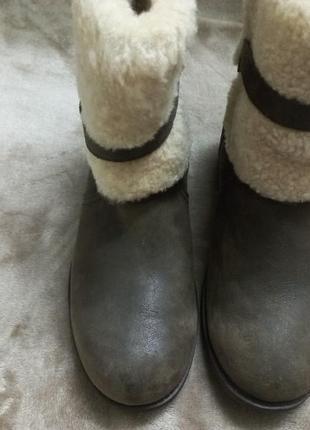 Ботинки.сапожки осень-зима кожа-овчина жен. 39р.ugg австрии6 фото