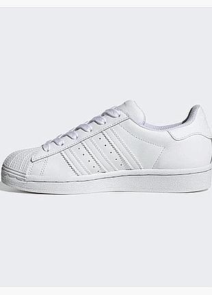 Кросівки adidas superstar
