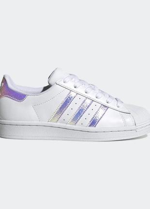 Кросівки adidas superstar