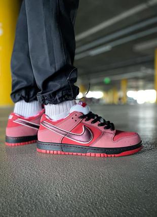 Мужские кроссовки nike sb dunk low red lobster