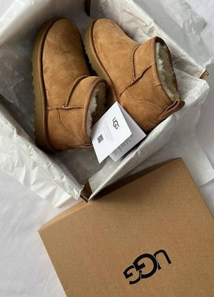 Уги ugg classic mini ii boots chestnu