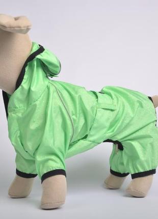 Ветровка - дождевик для собак silver (21х27) green2 фото