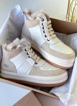 Ugg шкіра замша овчина лого бренд бежевий коричневий рижий