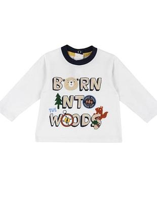 Реглан bear discovery для хлопчика, з довгими рукавами та круглою горловиною. chicco