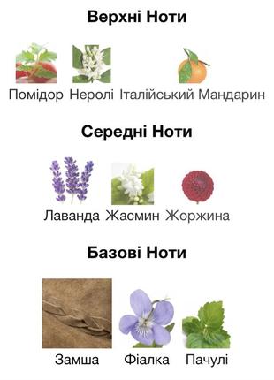 Набір для жінок