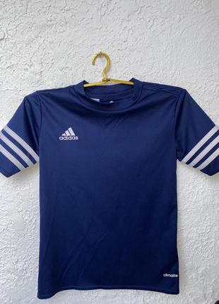 Спортивная футболка adidas