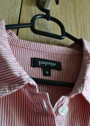 Отличная полосатая рубашка papaya (р-р 18-20)2 фото