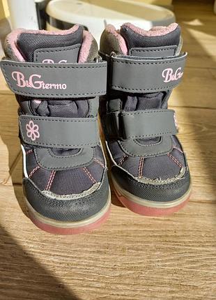 Чоботи bg