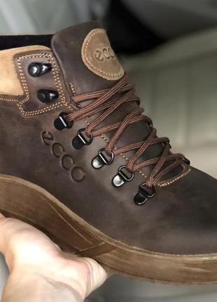 Зимние мужские ботинки коричневые экко1 фото