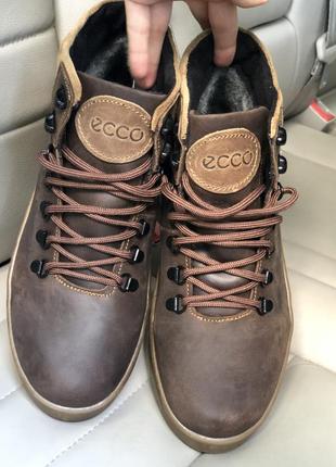 Зимние мужские ботинки коричневые экко3 фото
