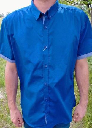 Рубашка-тениска с голубыми вставками на рукавах, синий, размер l3 фото