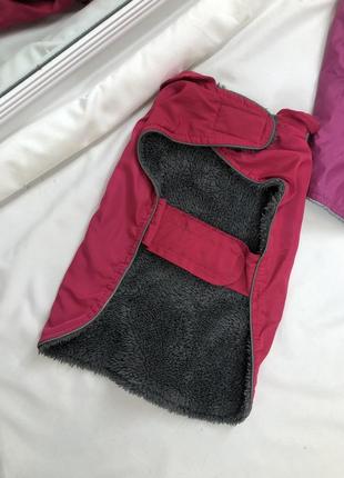 Куртка для тварин3 фото