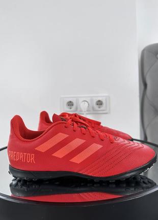 Яскраві популярні сороконіжки adidas predator