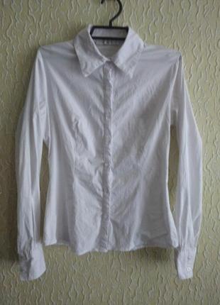Белая рубашка девочке 10-12 лет низкий рост,школьная рубашка,рубашка в школу, f&l