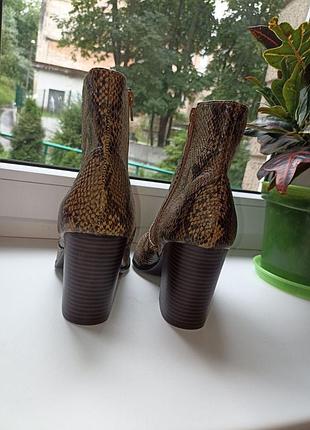 Ботильйони primark 7