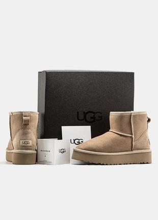 Женские угги ugg mini platform beige бежевого цвета