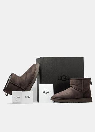 Мужские угги ugg classic mini brown мини коричневого цвета