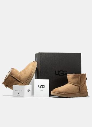 Чоловічі уггі ugg classic mini beige міні бежевого кольору